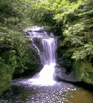 pic for Waterfall  240x266